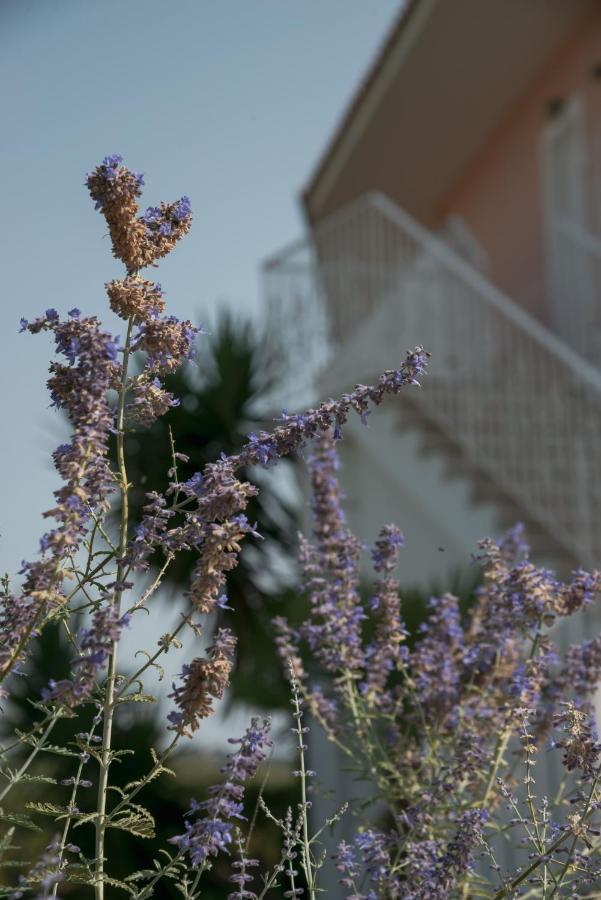 Ecoresort Hotel Zefyros Áyios Kírikos Esterno foto